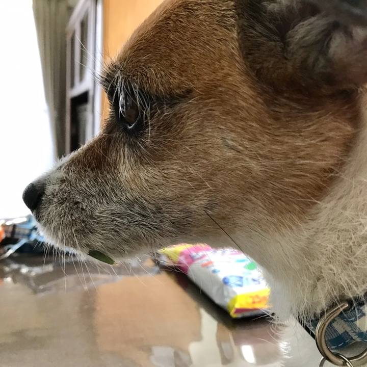 06c087b8 ebdc 49b2 add9 3529521803c8 1559986203506