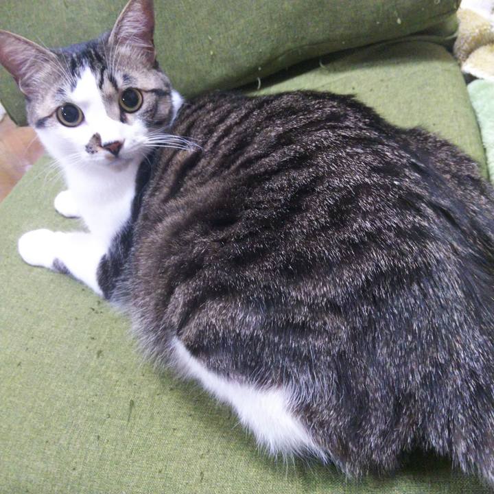 06c11f7a dd62 49fc 9a3b 2a37eec47fde 1646144501374