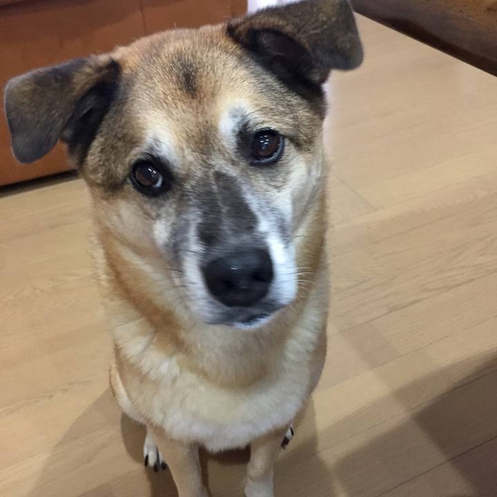 06c12d0c 10ca 4b4f 8afa b85215cfb47f 1567155427808