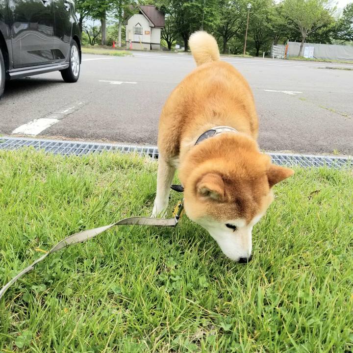 06c15969 ba91 4147 adc0 dce039769766 1620453606019