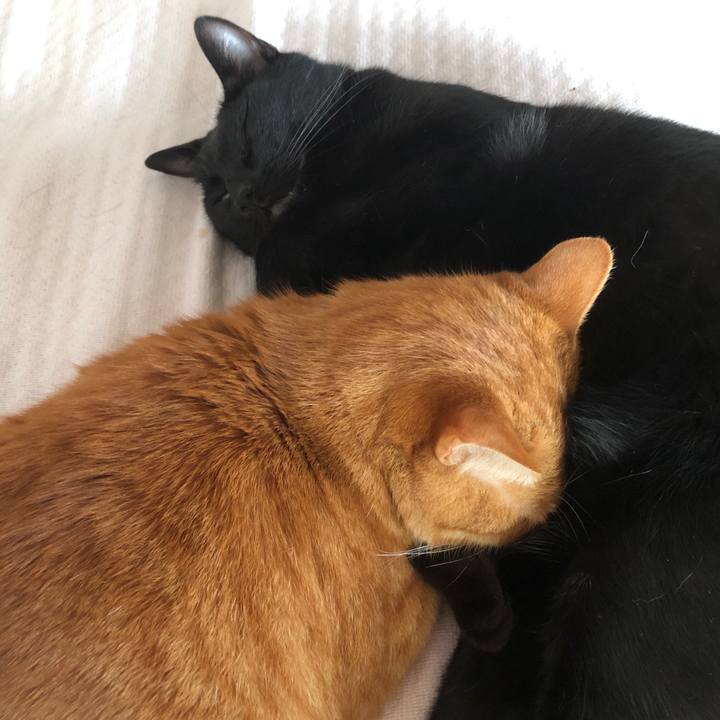 06c161c5 ac24 43ae 9457 f883aaa0a909 1702075851063