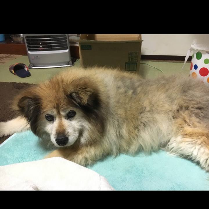 06c1c1ba a5f4 494b bf3b fcf17c3c59d1 1582559090903