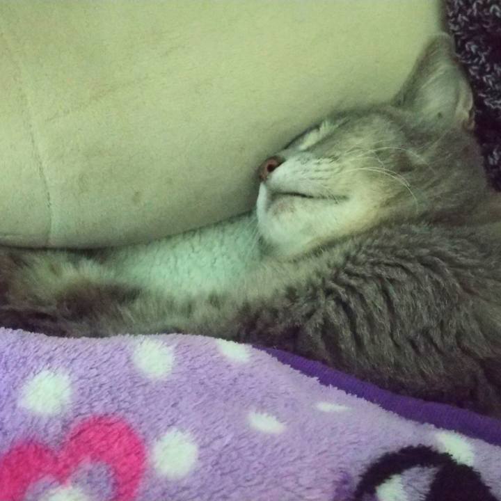 06c1dbe7 ecae 4aa9 a482 4a1884d5723f 1700038231226