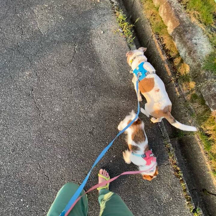 06c1e1b9 5bb1 4f03 9d11 0367af12cc24 1688340182491