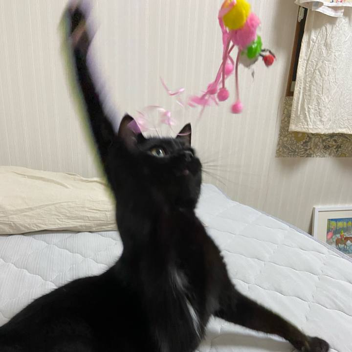 06c2233d 7d6e 4c39 b381 98fe77aac85c 1655638148221