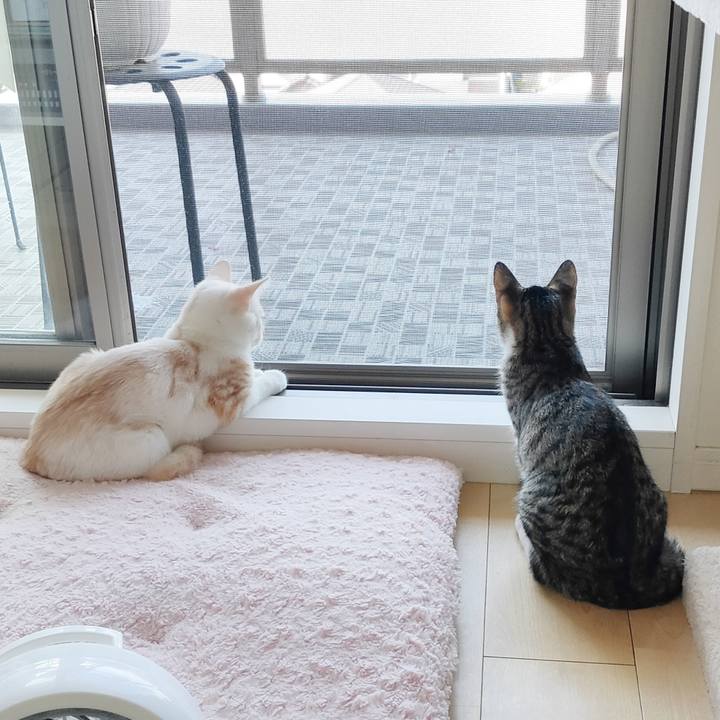 06c2a1d2 6318 441f a60f e8a1748705a3 1632441457185