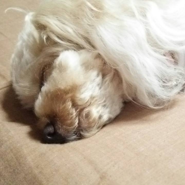 06c2ad4a 75e6 4ca1 b799 48eb9f622e47 1528809526561