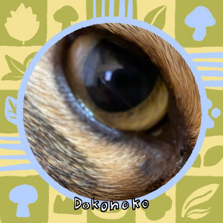 06c2d9c1 afdf 41e4 befa 167f188caac8 1761103953463