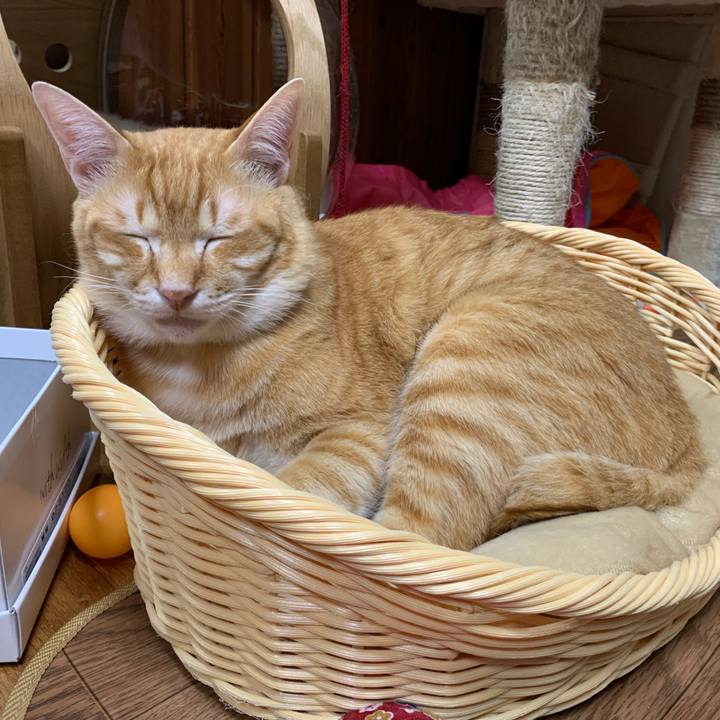 06c2d9c7 1190 49ab 9e71 bda13ee05c12 1585741704285