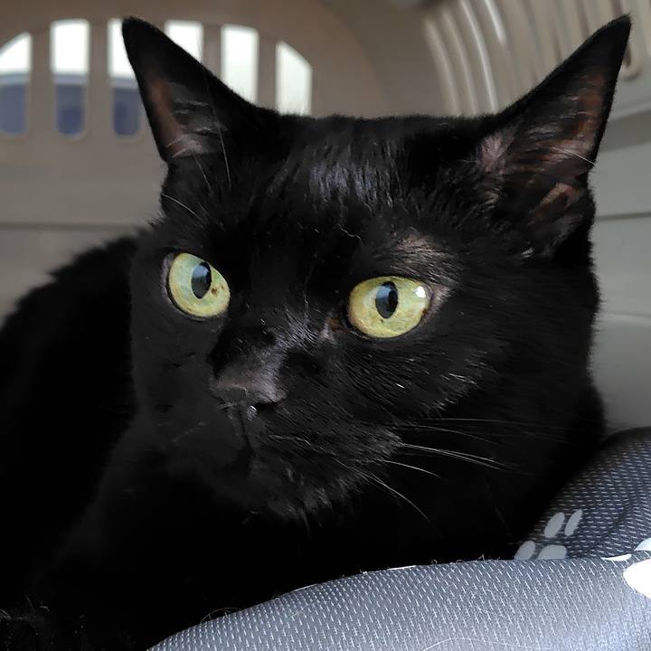 06c2e1b8 30fd 49cc 8be5 d34a5f68149b 1753503928036