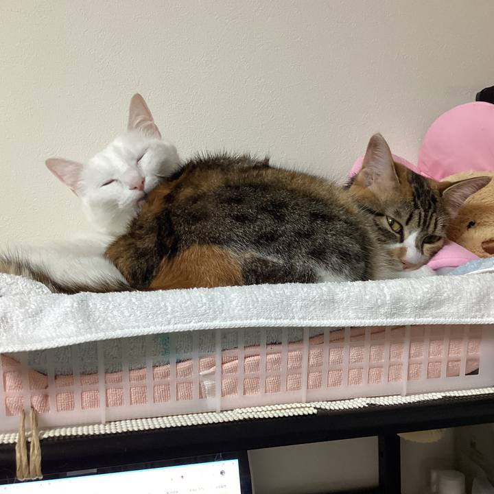 06c2fc08 9bbf 4a01 8bef a17177908d5b 1653110524129