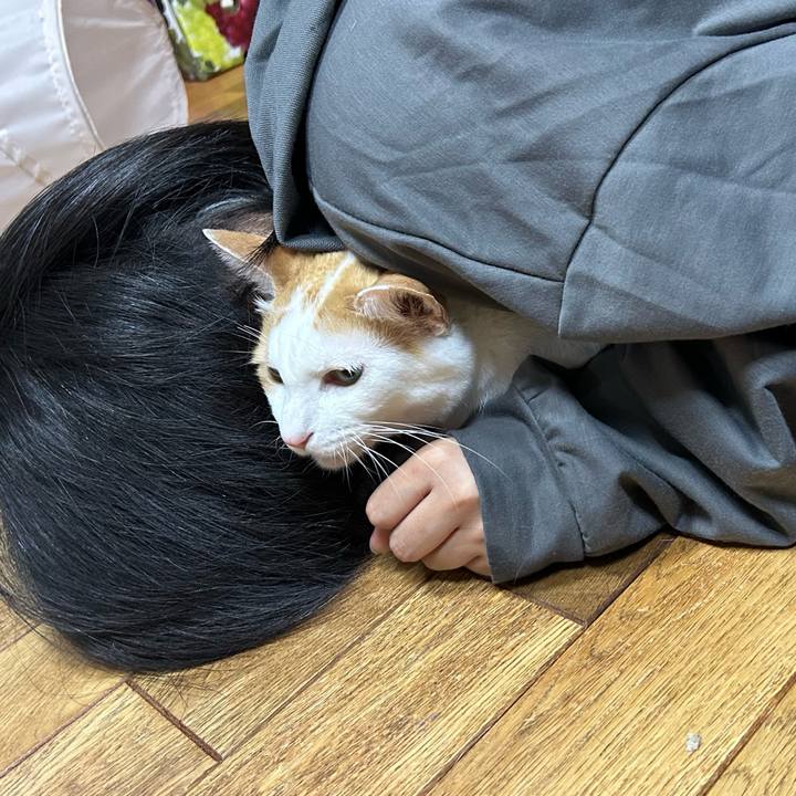 06c31da5 9755 47e9 a5af 9fc757d67555 1685275879058