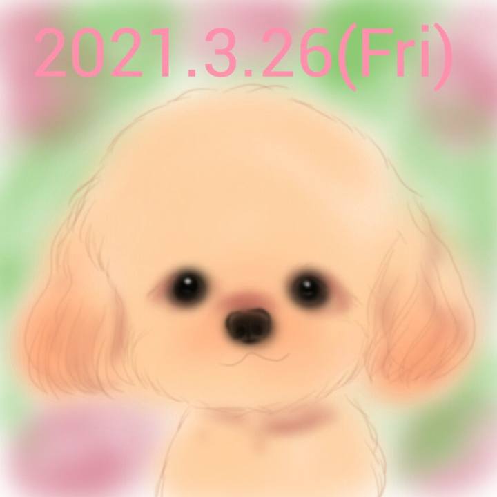 06c32370 3b55 4b91 837d 0c4ebb758884 1616758618942