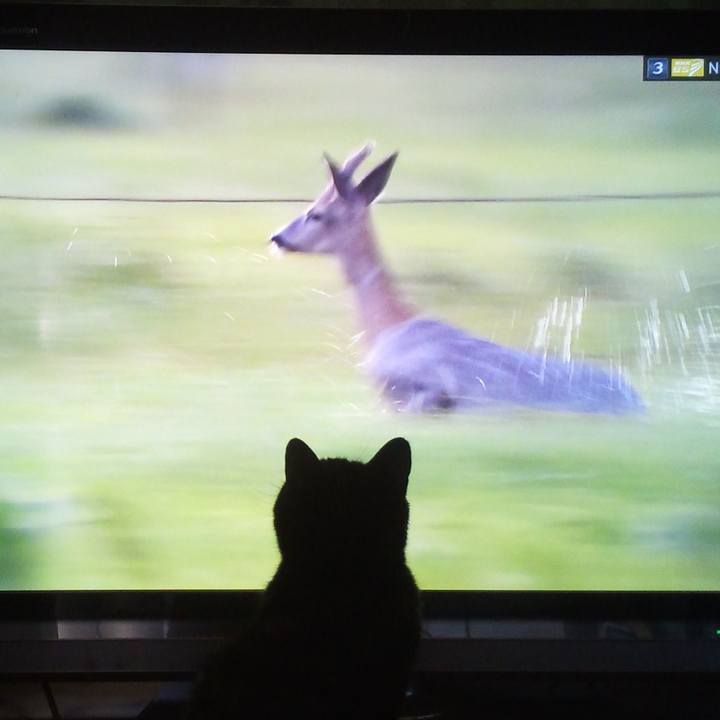 06c333c8 511d 4470 9f5e b1a117f8abf7 1605450740632