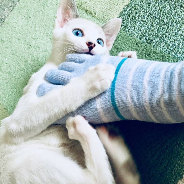 06c37bfc e19d 4a98 bfa0 ea56a98370de 1534048938106