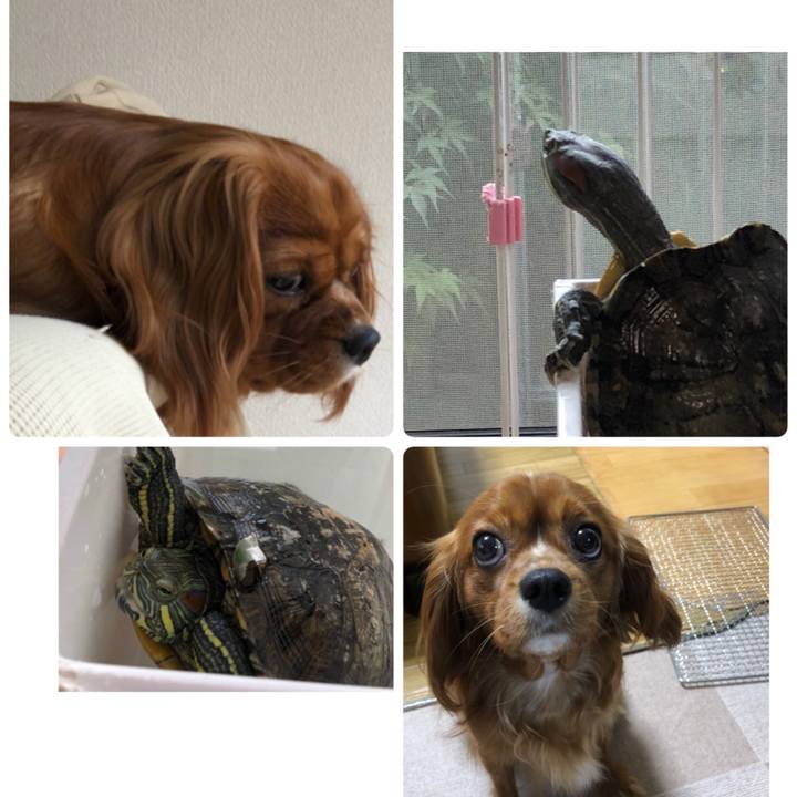 06c3af23 2932 4b90 9c0c 7fecaaac35f8 1528614838392