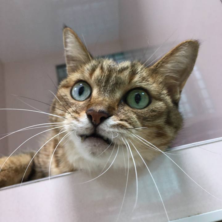 06c3daf7 7315 4022 8dbf 490142a0bece 1508835279324