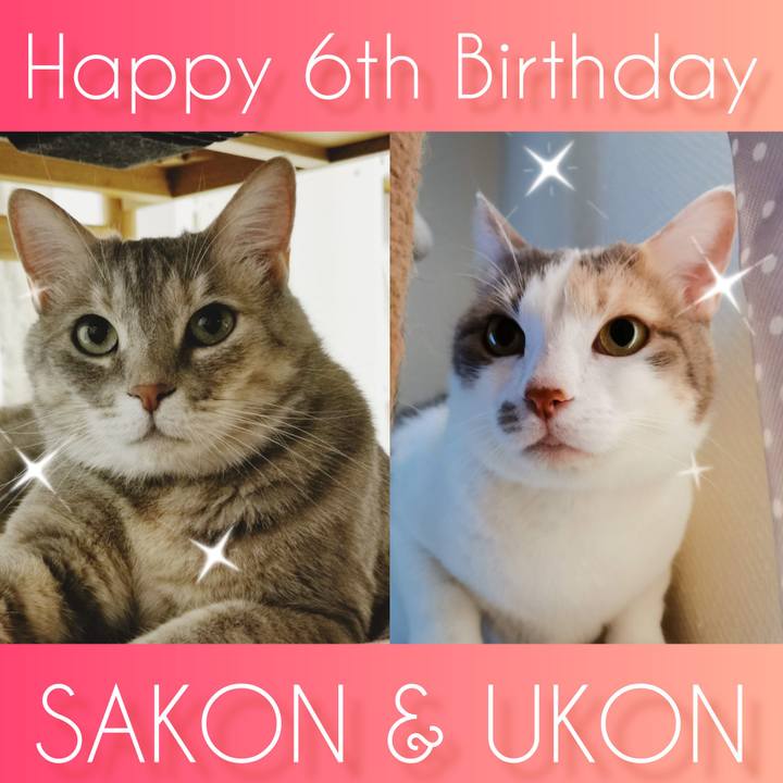 06c42c41 c83b 41ee 822a 48978b1708e3 1655160774153