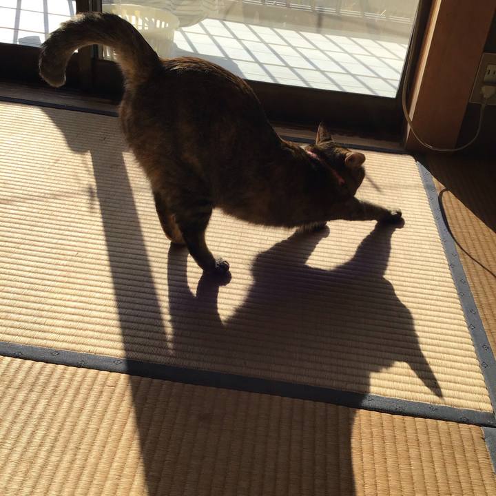 06c43def a5f1 474c bad6 da4cb9b67f84 1606007566715