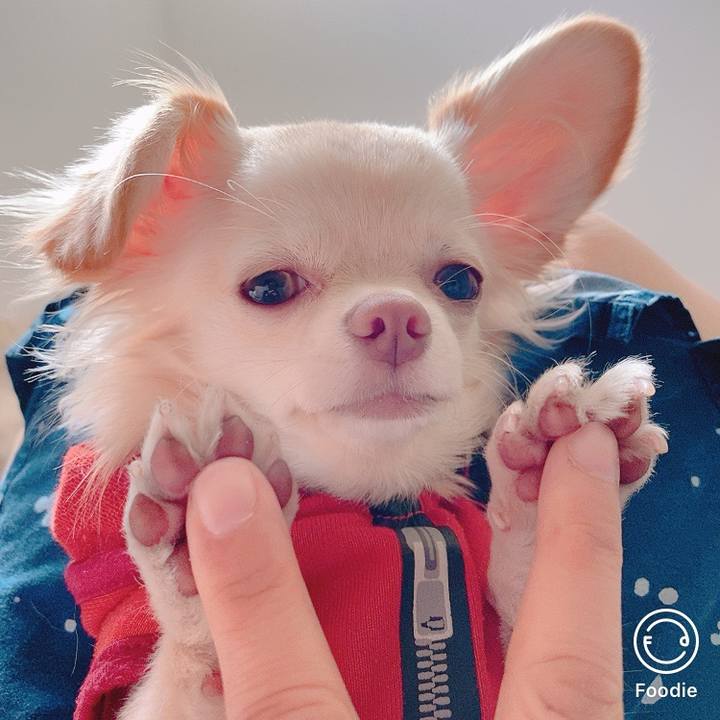 06c447de 93a7 41a6 a8b1 5d91112b054b 1606096516456