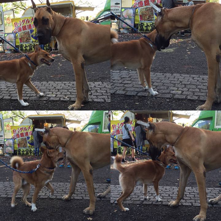 06c44cd8 78ff 4f2b a7db f32d79f065e4 1588376885207