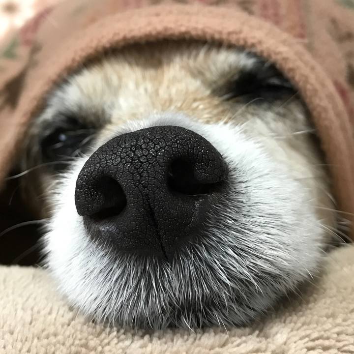 06c45f08 7c03 45e6 ac00 19d0350348e4 1616299805889