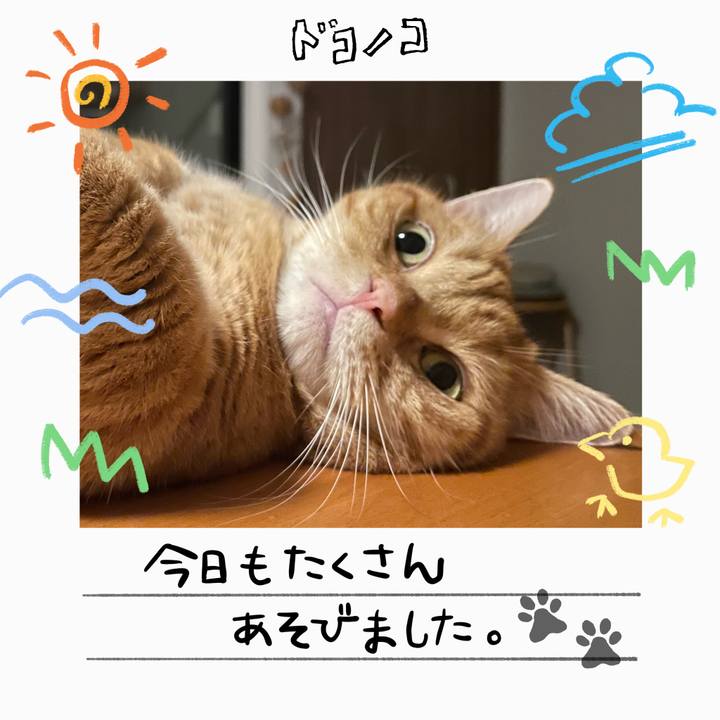 06c47f3a 1df8 4b2f 87bb d7d46f7ea585 1755467052980