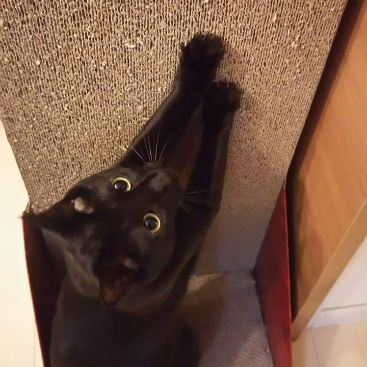 06c4a898 72f8 44b8 a64d 46532faf12a5 1525861079143