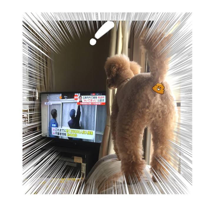 06c4bd2b 6229 44e5 892a 1d0f75b1c6ba 1525071522901