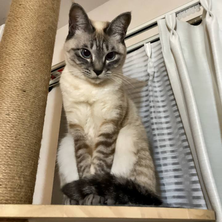 06c4ddd7 e878 4631 9dce 8deb1166e8c5 1609418059348