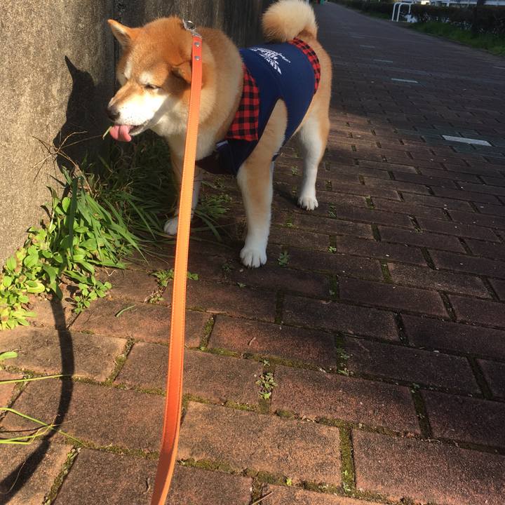 06c52d09 1e0b 4ccb b103 f2ed34540813 1543641661347