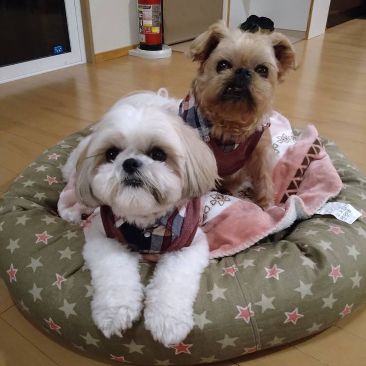 06c59481 2910 40d4 a443 acb83a92cf37 1637976291256