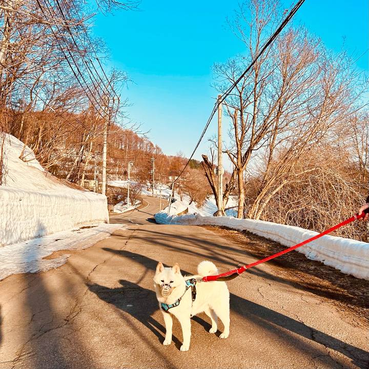 06c64396 d054 4972 8f09 6f91010dca97 1773787333722