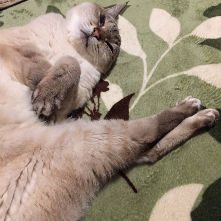 06c6473c 1aad 4ab3 88e4 cadf585455a5 1586695403781