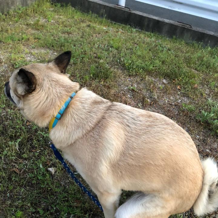 06c6a6c8 156a 4357 873d 4defbf4ed375 1619010682545