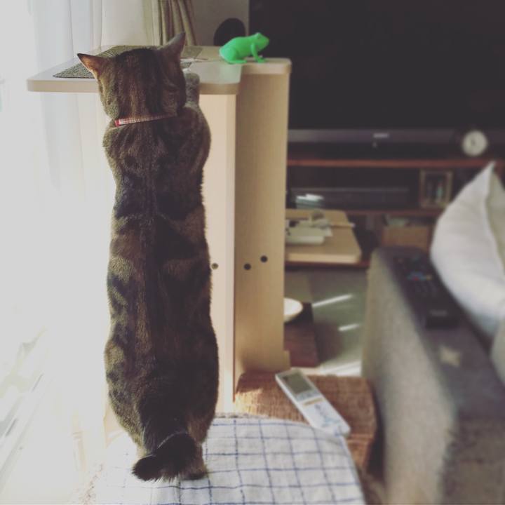 06c6eaf7 b976 4aad 839e bb3862e43f49 1541201167877