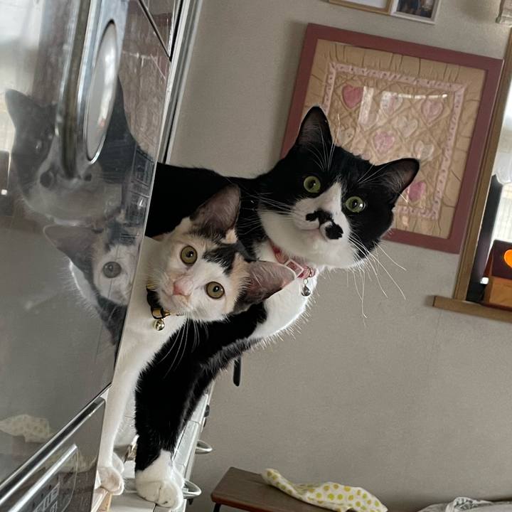 06c6f037 333e 4f87 8fb2 57b18ca83349 1662687272155