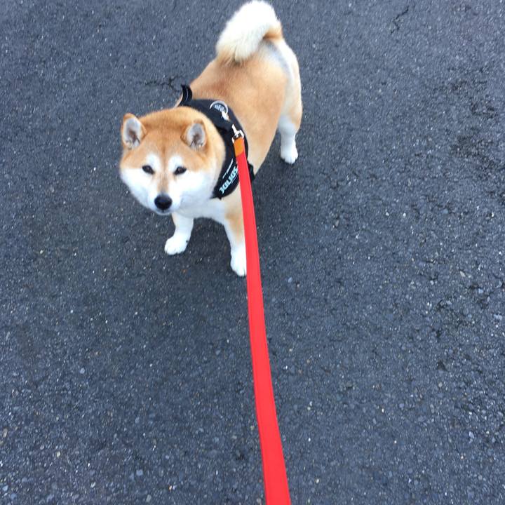 06c705a2 afbd 47f4 a998 ecbf8d2f50ed 1576123298660