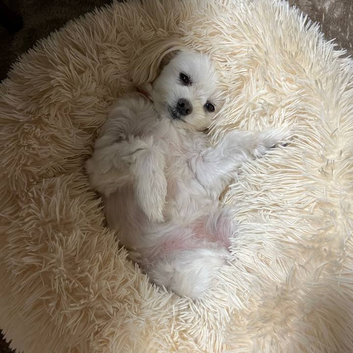 06c72a7e a0ef 42c2 8002 5a8f05182e04 1668936419846