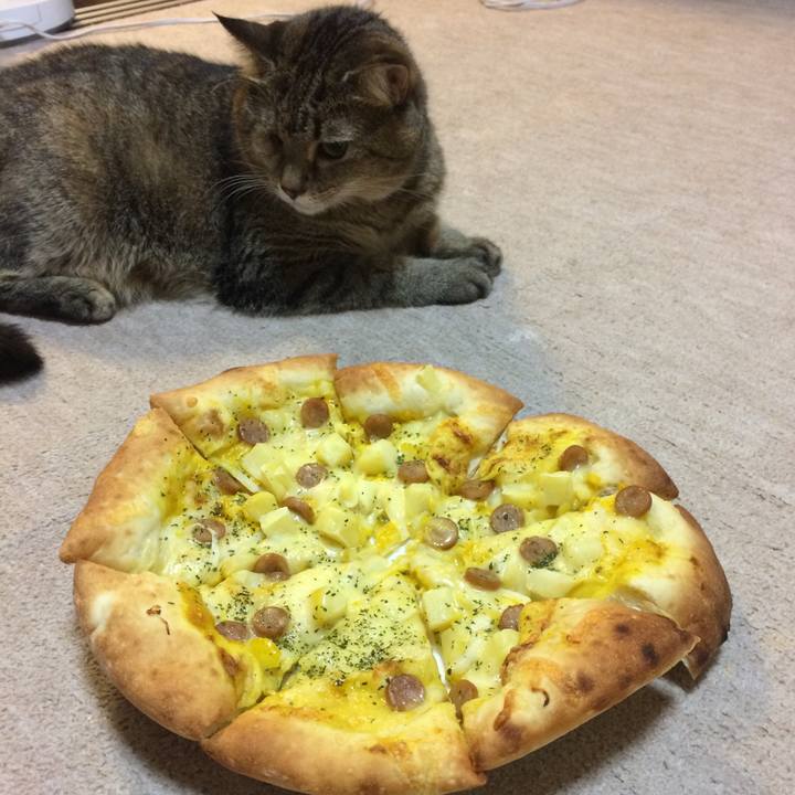 06c732ad d57c 4f0d 888f b21b38afdafc 1568553938102