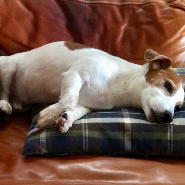 06c74991 7528 4013 b165 bb5ccc95542c 1749637885305