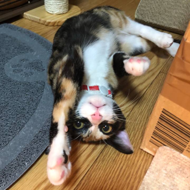 06c75434 91d0 44c3 b69c 0def94d8e85f 1547731294905