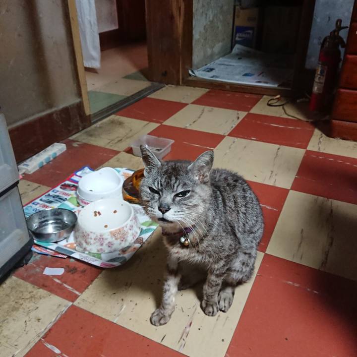 06c7631f cd21 46ee 8500 4daafa8a2e4f 1595188469486