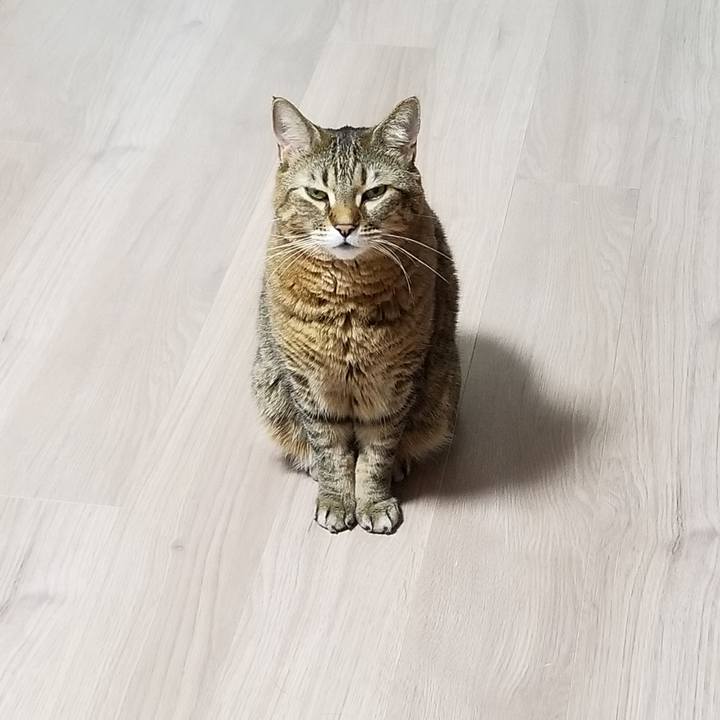 06c76a25 c6c2 4c4a 834d cb31f75ece81 1614203031807