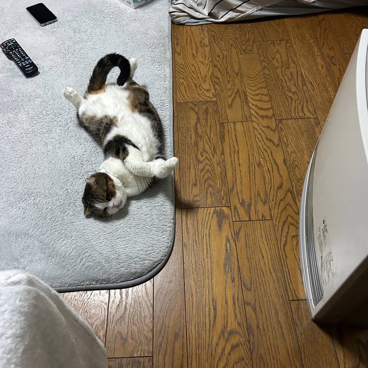 06c7b4cd 698e 4bdf 82f5 7f3c8624b0c8 1773294100125