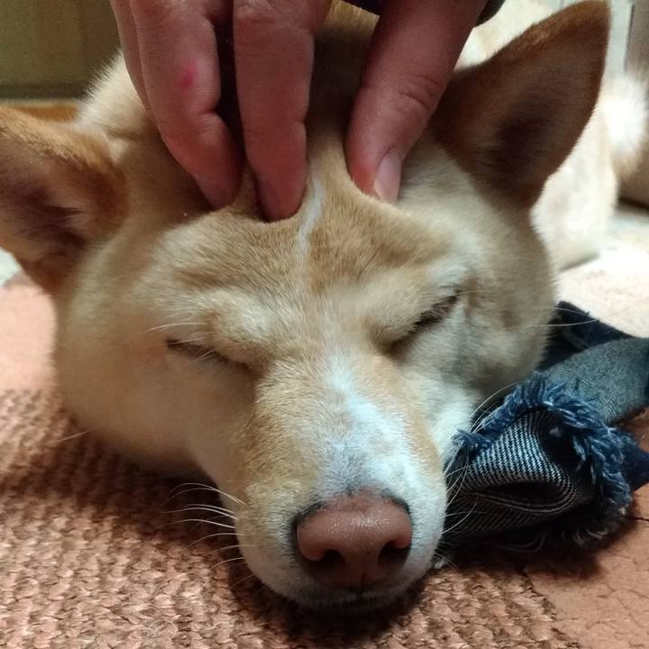 06c7b989 a294 4622 a49c 10f86a9c747f 1580638705299