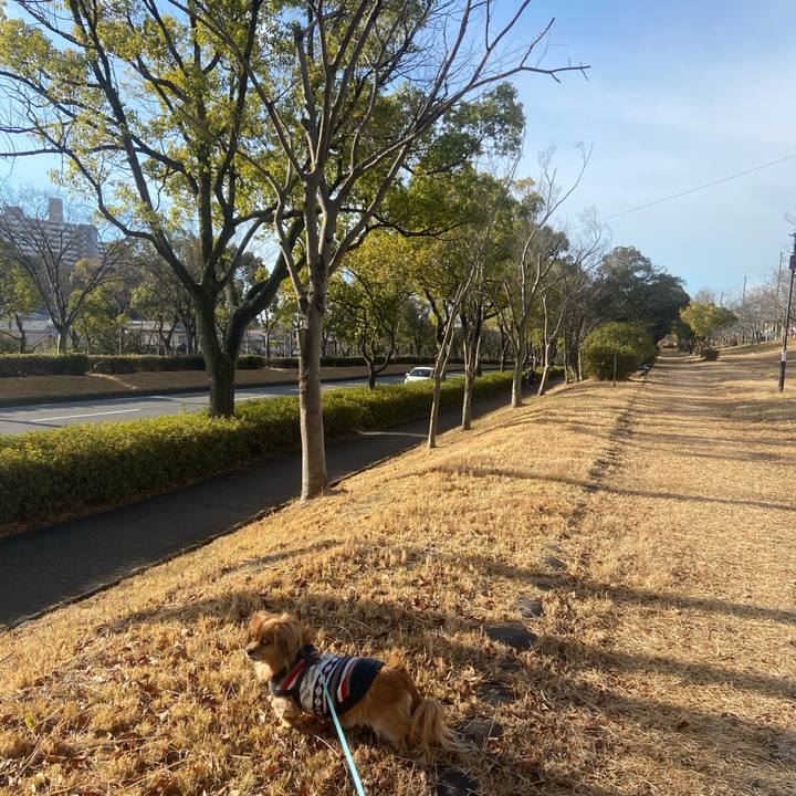 06c7d692 17bd 4104 a456 6796e3da6c99 1610239104550