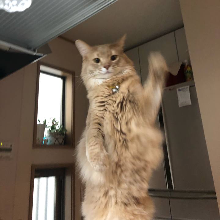 06c81be2 5860 416f 8590 bcf3e5295a4c 1606954805982