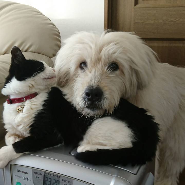 06c8ba32 e94d 472d b648 2180ba315e55 1582495785347