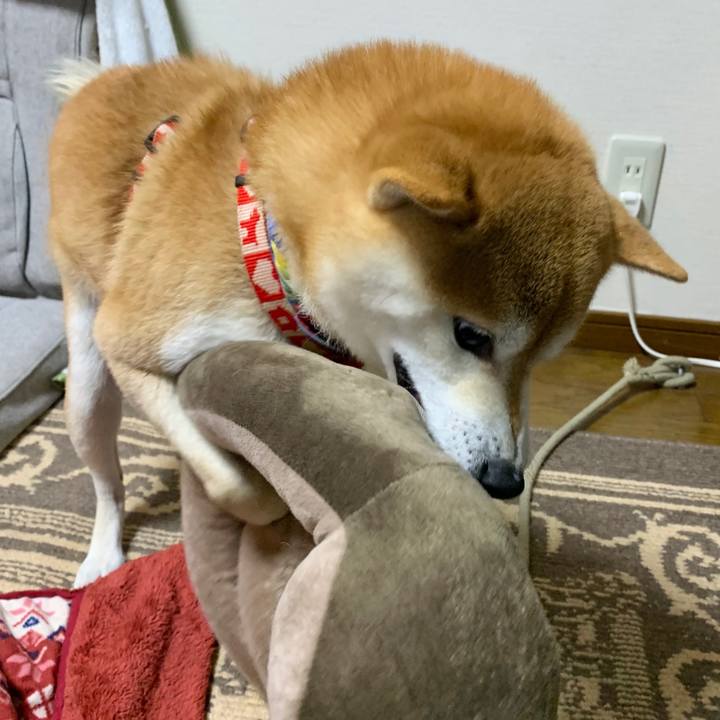 06c9250a a4c7 4f42 bc4c 10a25426c962 1582633136245